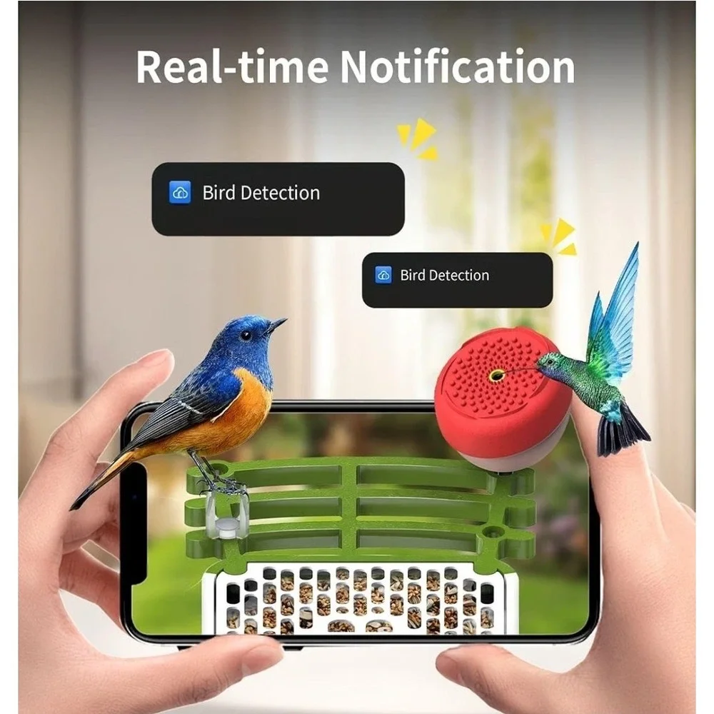 2K Smart Bird Feeder Camera, Solar, AI Bird ID, WiFi, Green